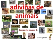 Cousas das cousas II. Adiviñas de animais